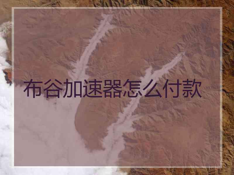 布谷加速器怎么付款