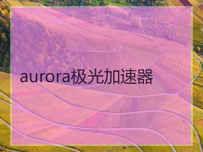 aurora极光加速器