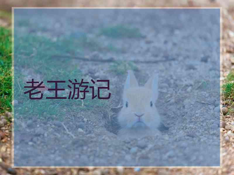 老王游记