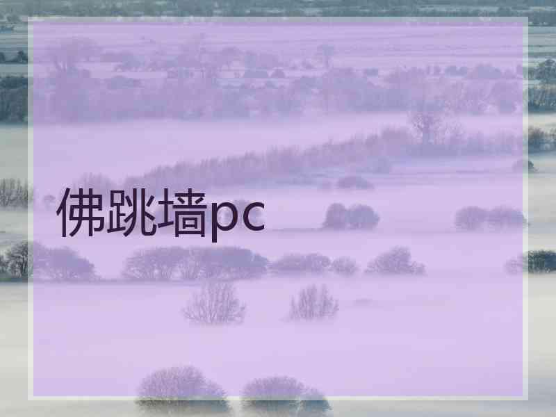 佛跳墙pc