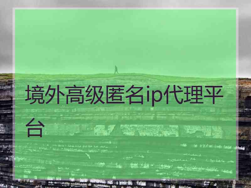 境外高级匿名ip代理平台