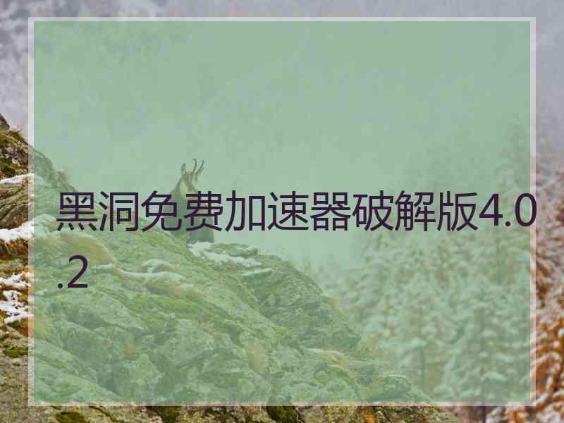 黑洞免费加速器破解版4.0.2