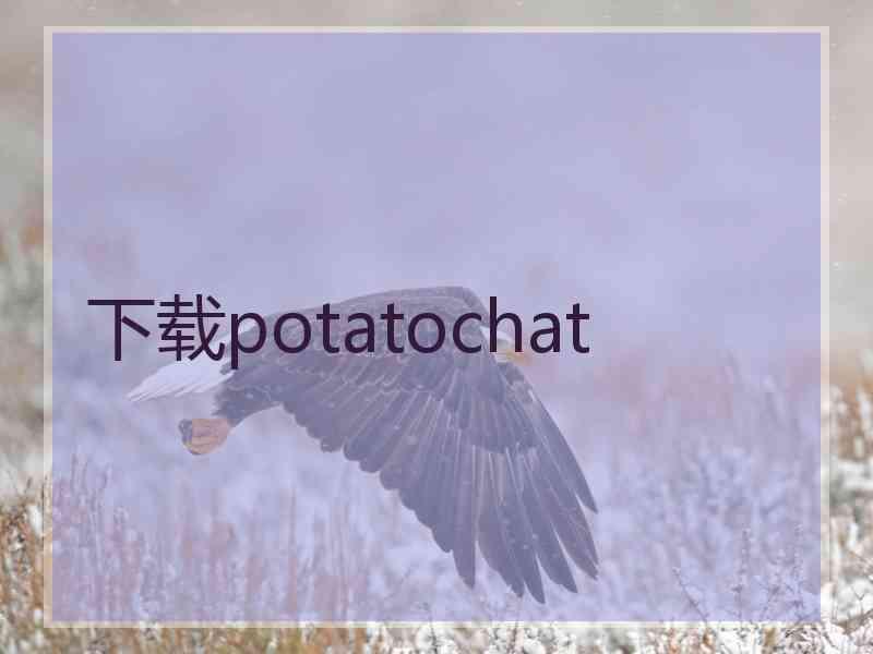 下载potatochat