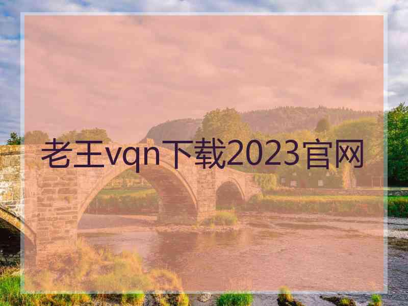 老王vqn下载2023官网