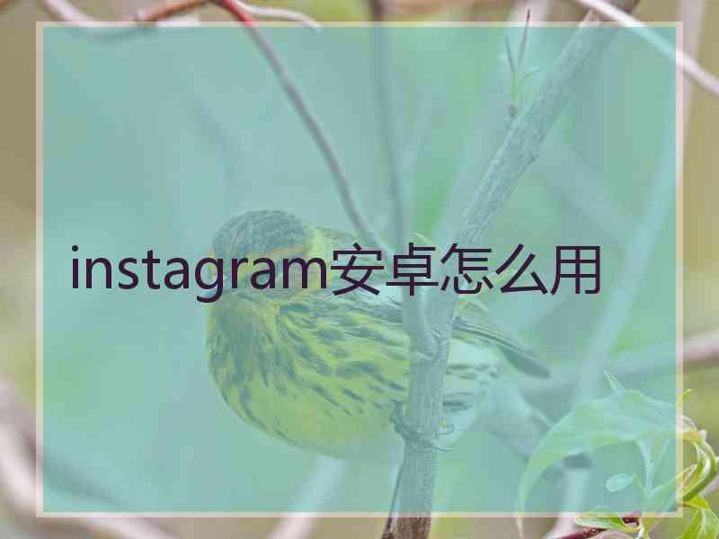 instagram安卓怎么用
