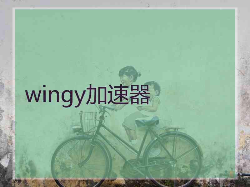 wingy加速器