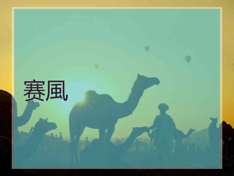 赛風