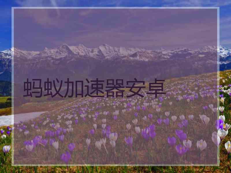 蚂蚁加速器安卓