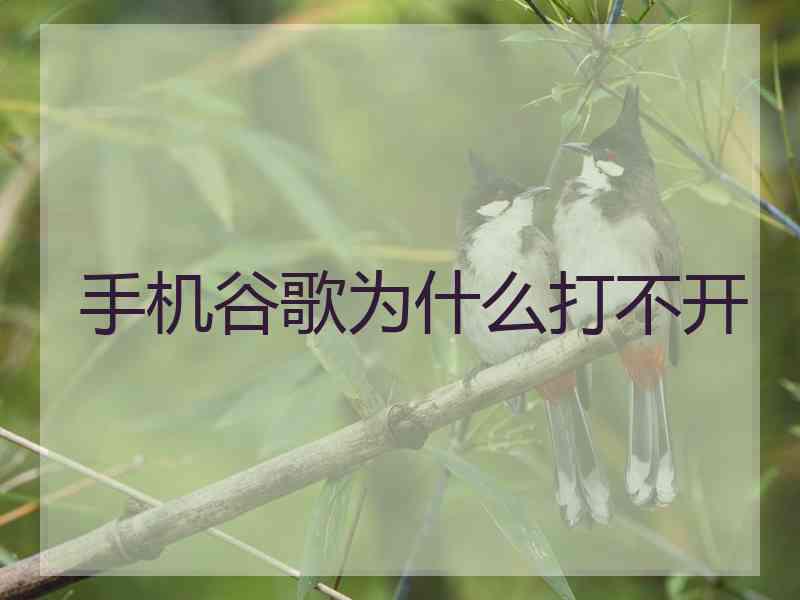 手机谷歌为什么打不开