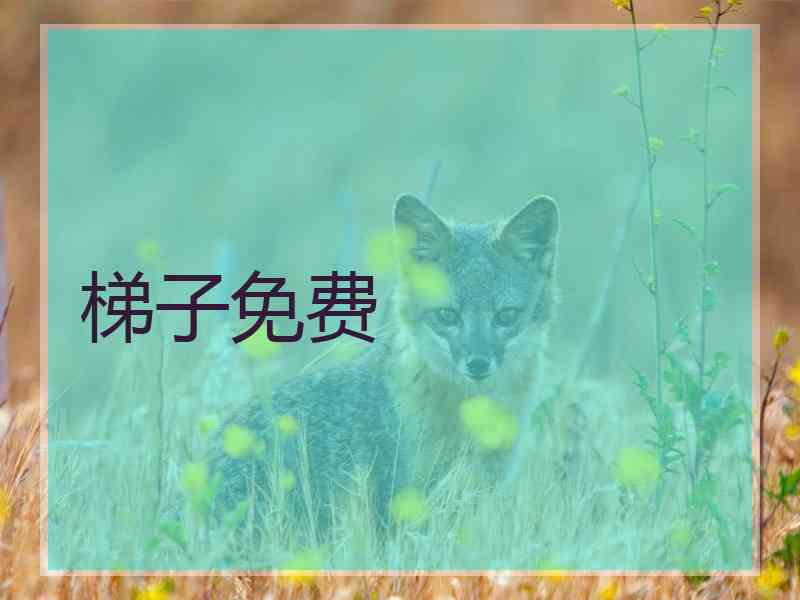 梯子免费