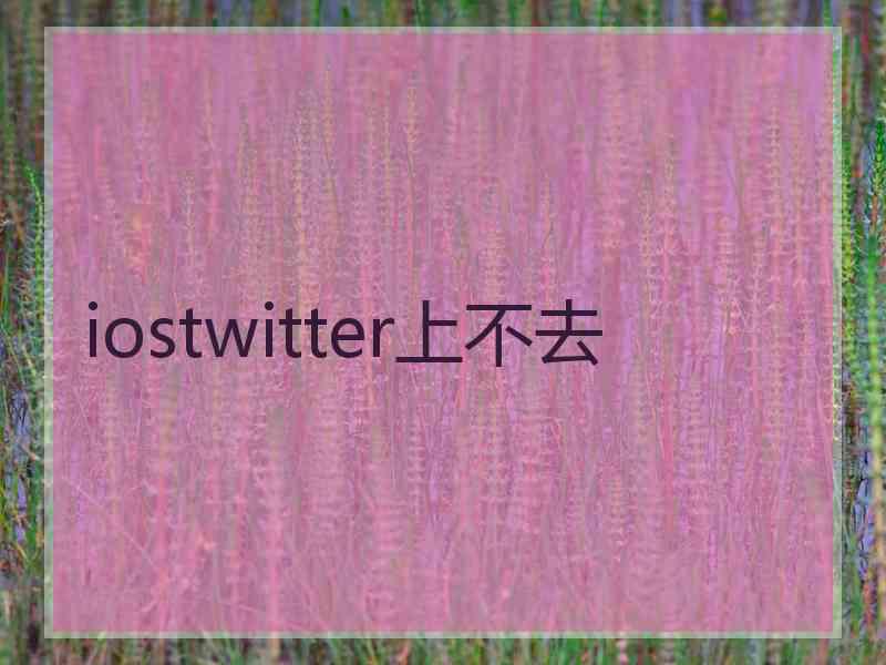iostwitter上不去