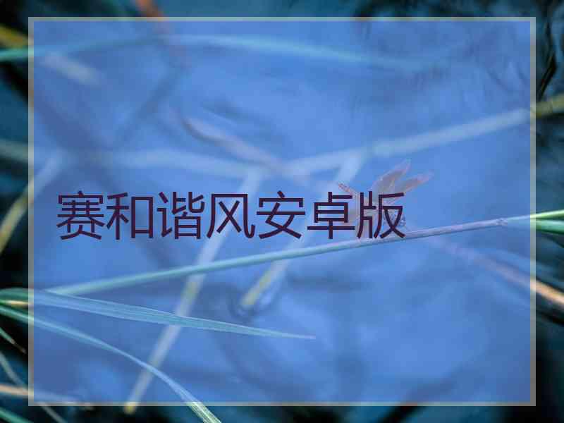 赛和谐风安卓版