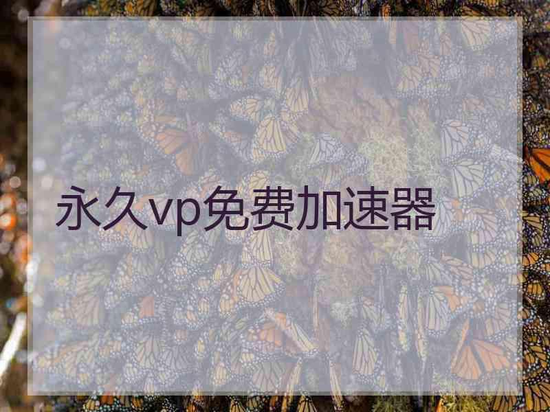 永久vp免费加速器