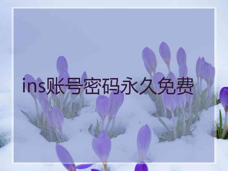 ins账号密码永久免费