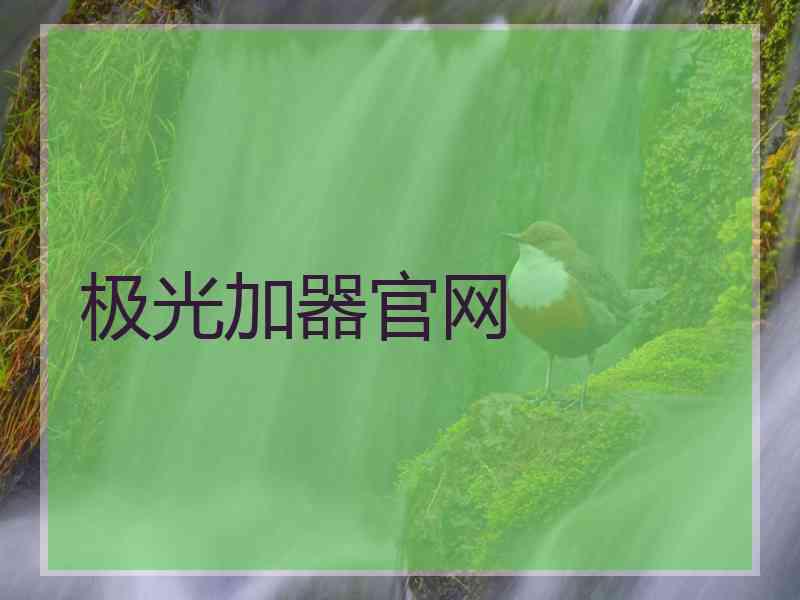 极光加器官网