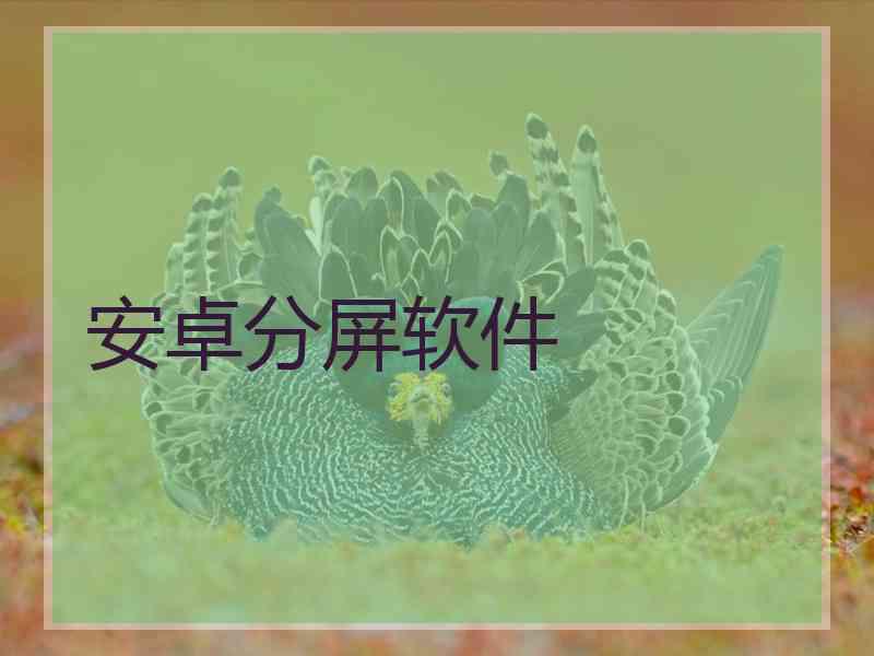 安卓分屏软件