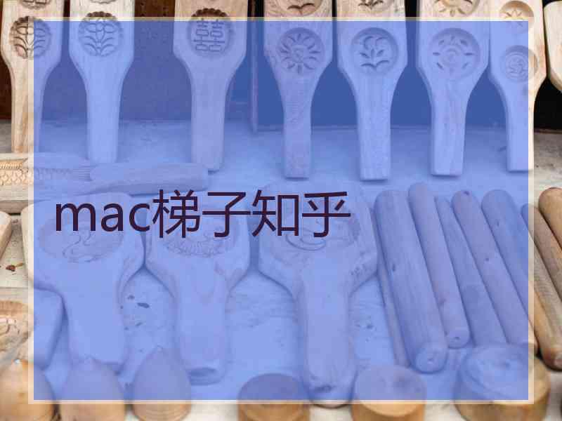 mac梯子知乎