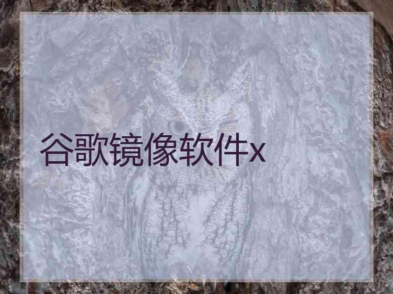 谷歌镜像软件x