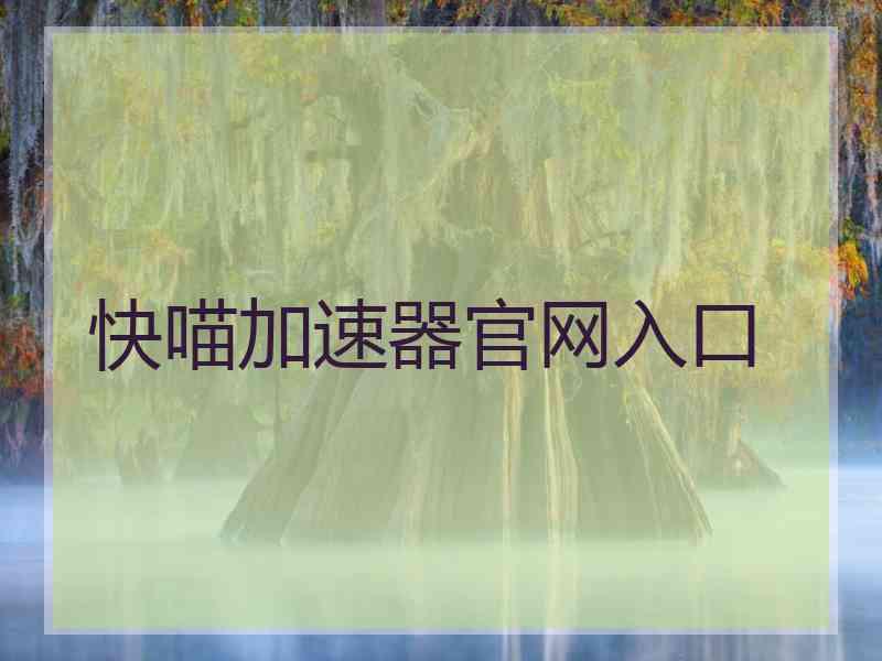 快喵加速器官网入口