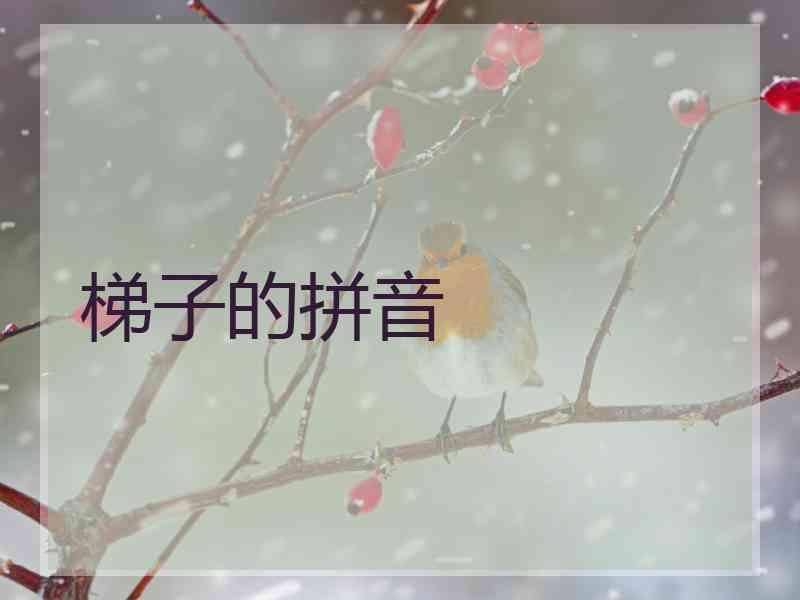 梯子的拼音