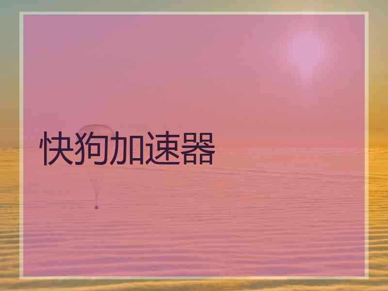 快狗加速器