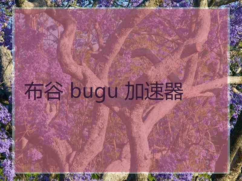 布谷 bugu 加速器