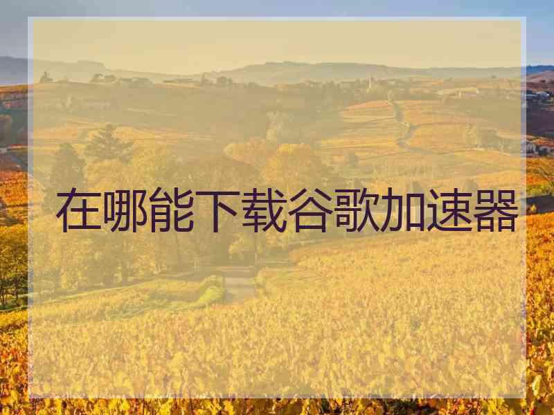 在哪能下载谷歌加速器