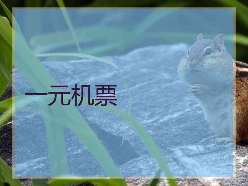 一元机票