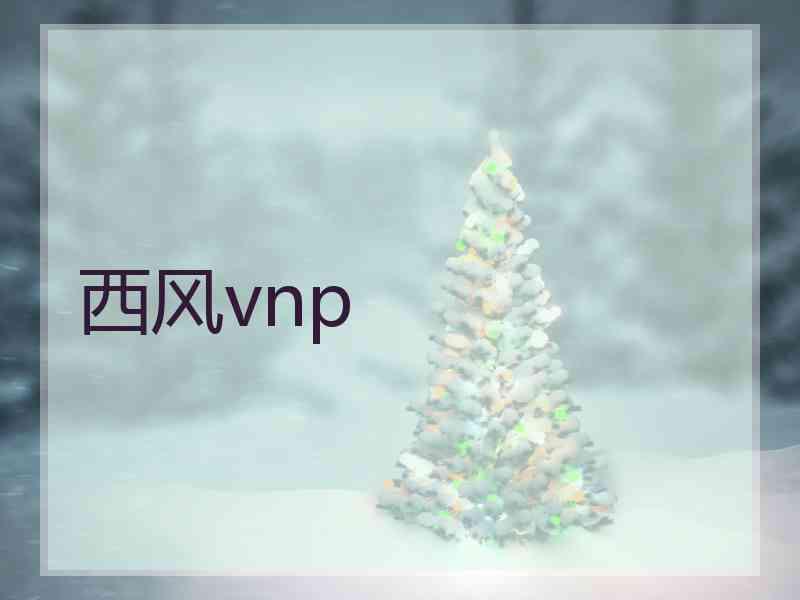 西风vnp