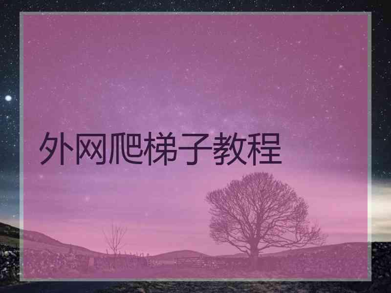 外网爬梯子教程