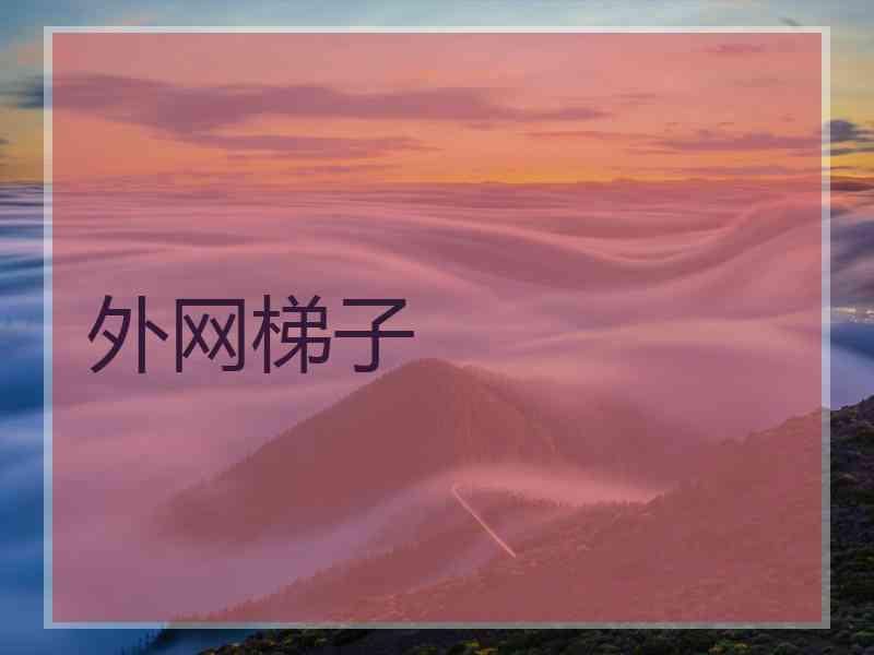外网梯子