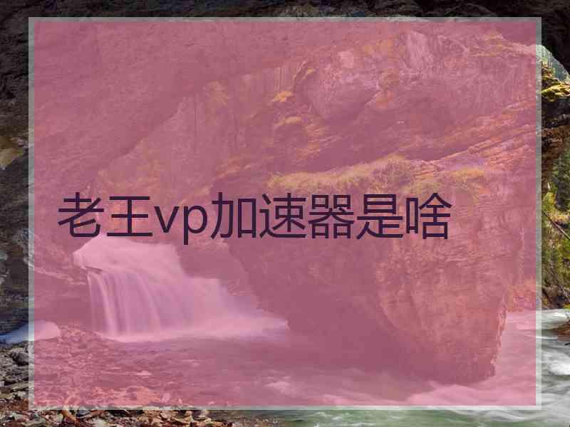 老王vp加速器是啥