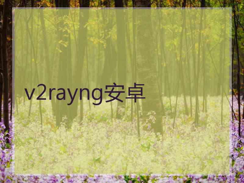 v2rayng安卓