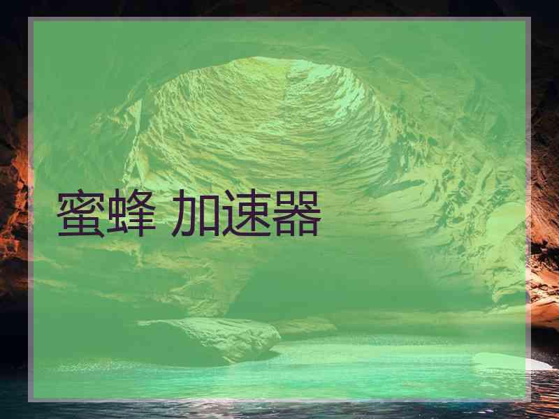 蜜蜂 加速器