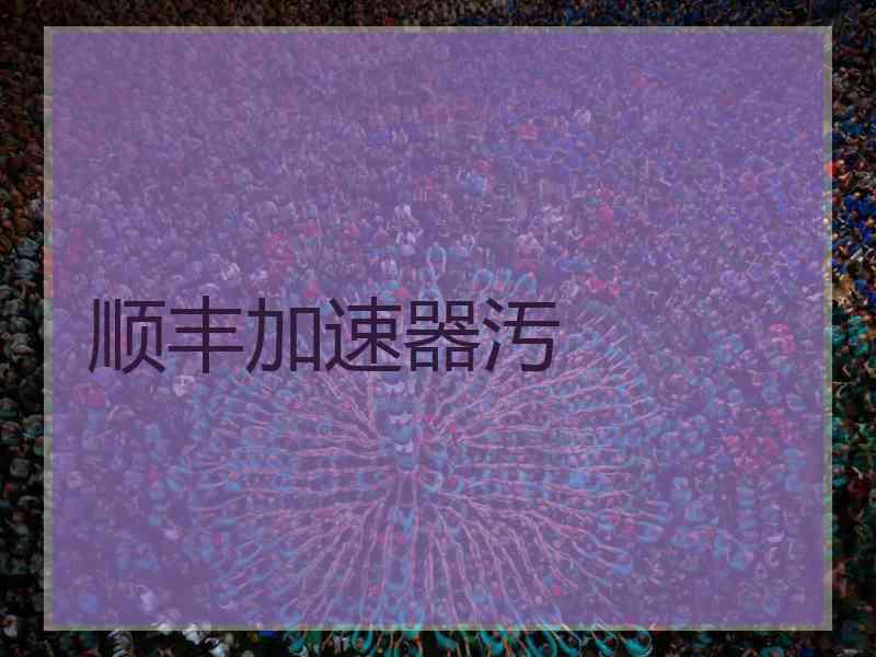 顺丰加速器汚