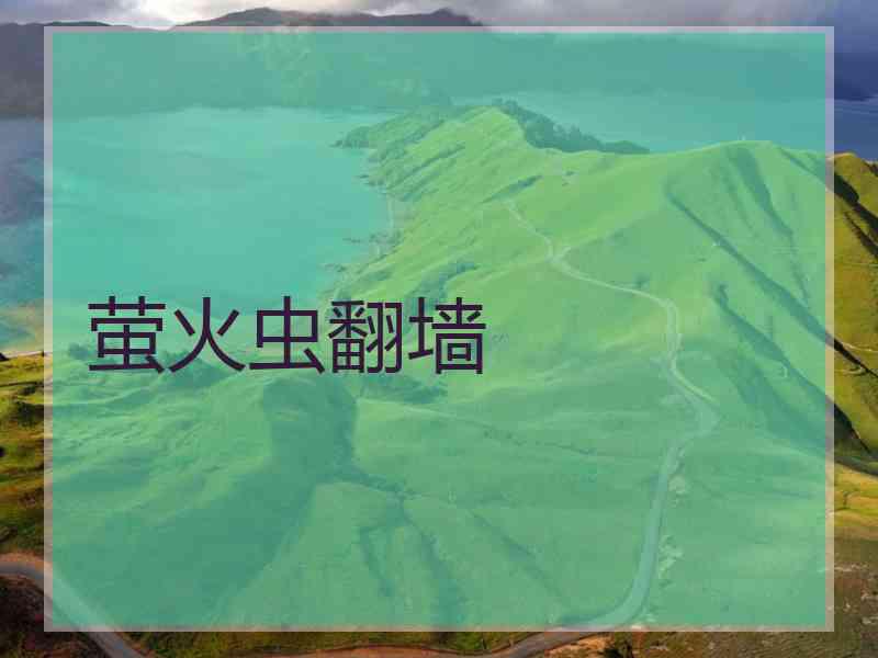 萤火虫翻墙