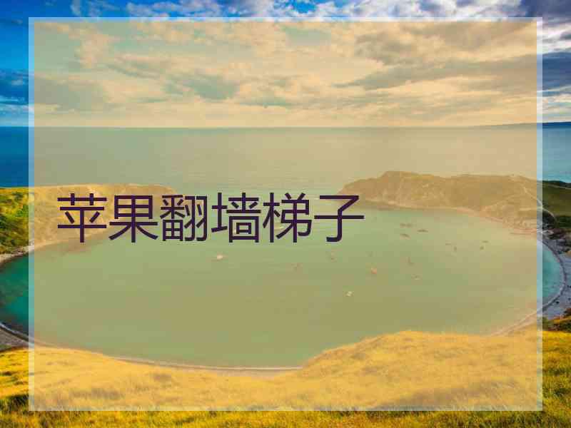 苹果翻墙梯子