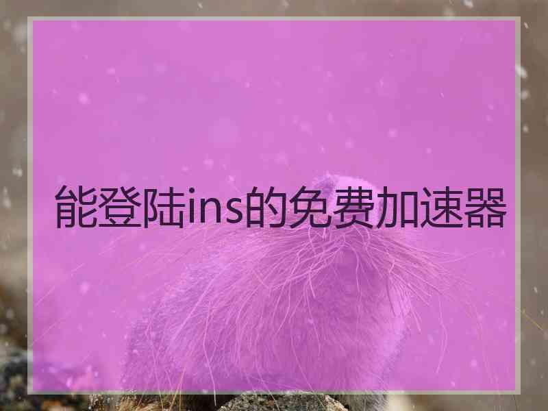 能登陆ins的免费加速器