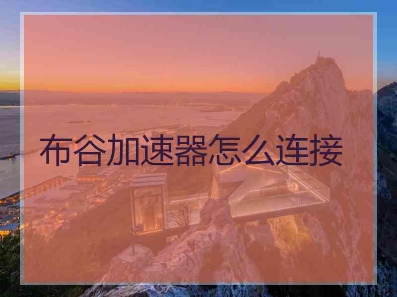 布谷加速器怎么连接