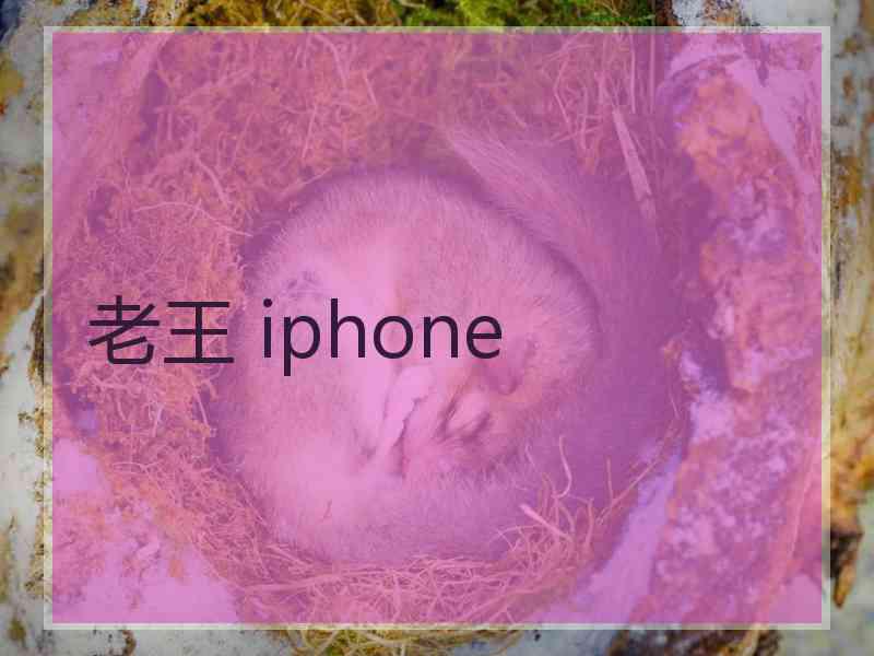 老王 iphone