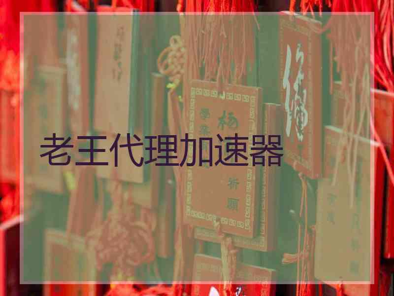 老王代理加速器
