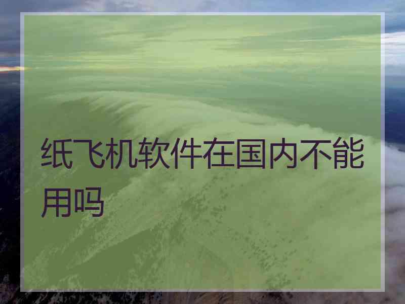 纸飞机软件在国内不能用吗