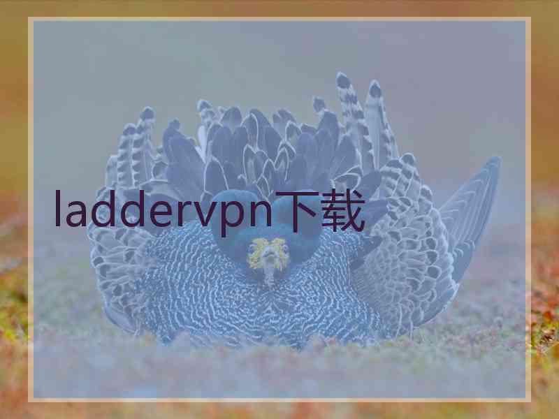laddervpn下载