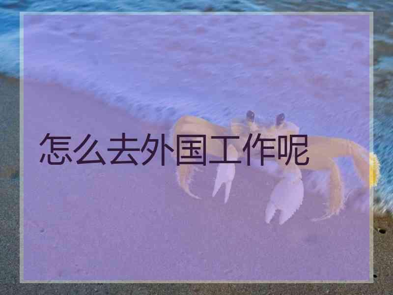 怎么去外国工作呢
