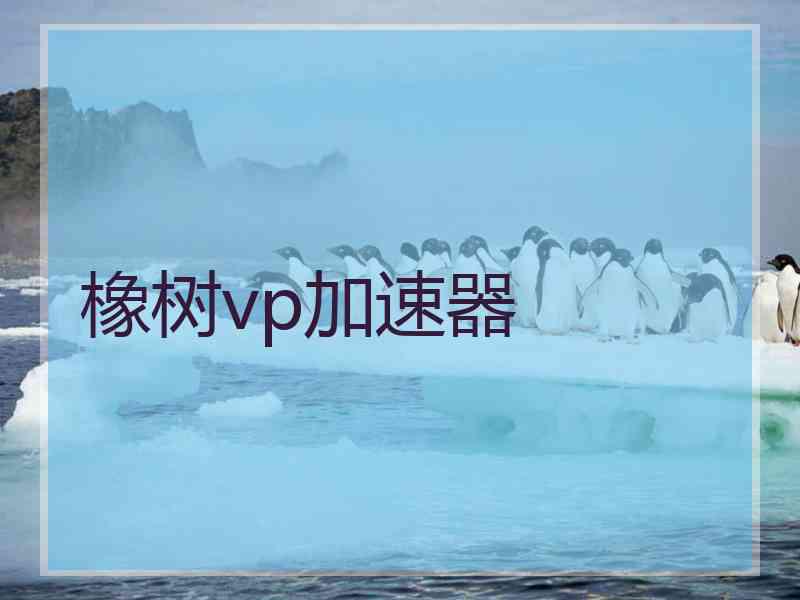 橡树vp加速器