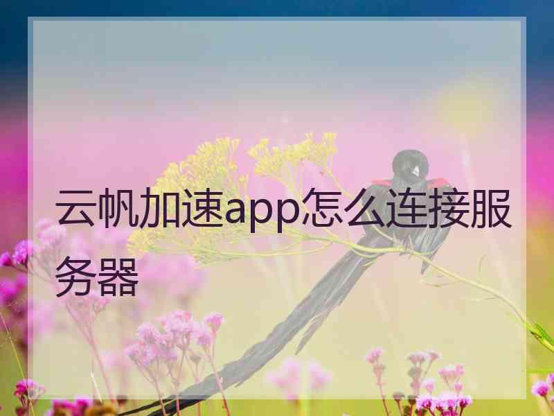 云帆加速app怎么连接服务器
