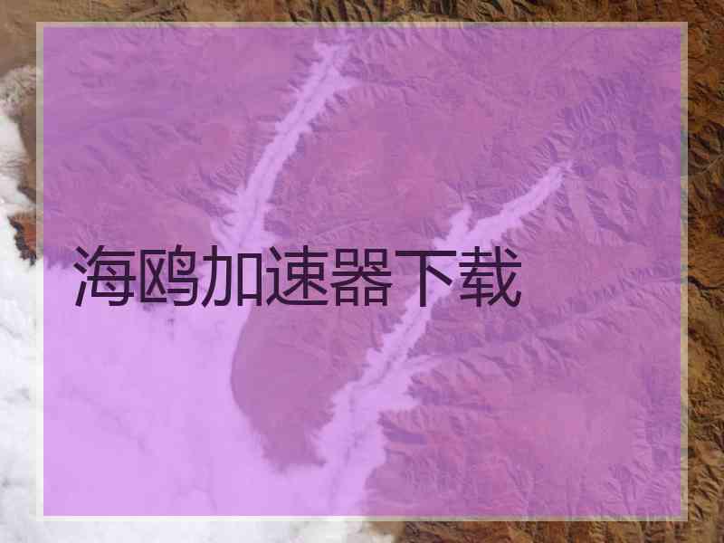 海鸥加速器下载
