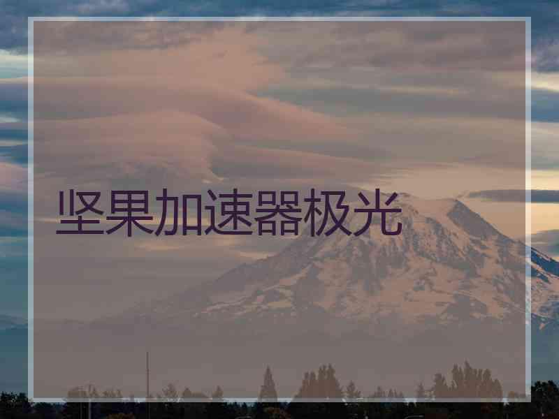 坚果加速器极光