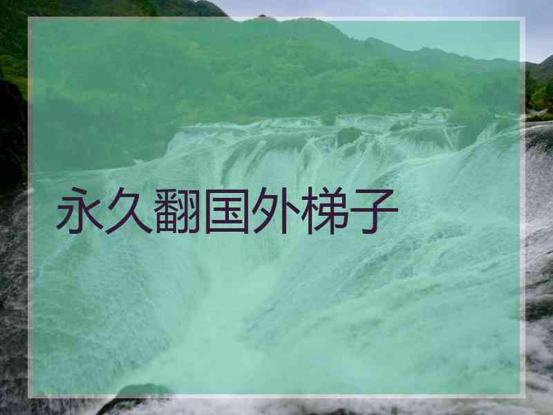 永久翻国外梯子