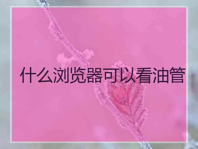 什么浏览器可以看油管
